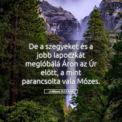 Picture 05 - 3 Mózes 9:21 KAR - De a szegyeket és a jobb lapoczkát meglóbálá - Bible Verse Picture