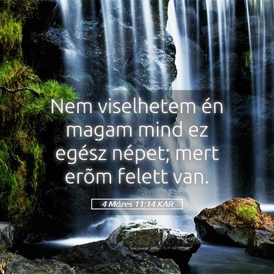 Picture 05 - 4 Mózes 11:14 KAR - Nem viselhetem én magam mind ez egész népet; - Bible Verse Picture
