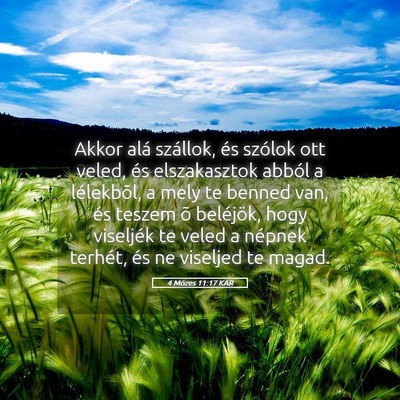Picture 05 - 4 Mózes 11:17 KAR - Akkor alá szállok, és szólok ott veled, és - Bible Verse Picture