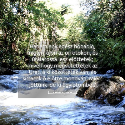 Picture 05 - 4 Mózes 11:20 KAR - Hanem egy egész hónapig, míglen kijön az - Bible Verse Picture