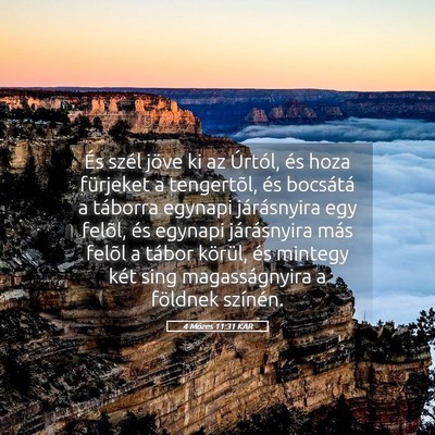 Picture 05 - 4 Mózes 11:31 KAR - És szél jöve ki az Úrtól, és hoza fürjeket - Bible Verse Picture