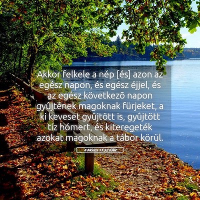 Picture 05 - 4 Mózes 11:32 KAR - Akkor felkele a nép [és] azon az egész napon, - Bible Verse Picture