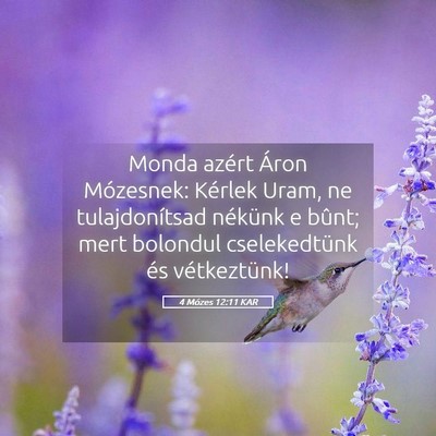 Picture 05 - 4 Mózes 12:11 KAR - Monda azért Áron Mózesnek: Kérlek Uram, ne - Bible Verse Picture