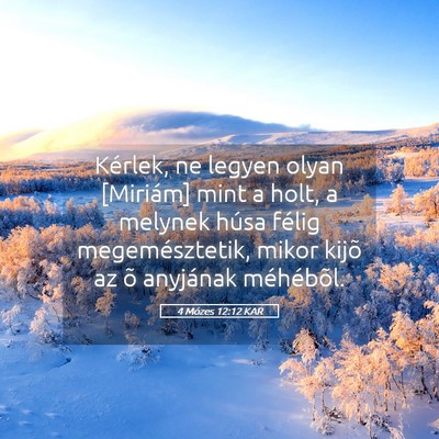 Picture 05 - 4 Mózes 12:12 KAR - Kérlek, ne legyen olyan [Miriám] mint a holt, a - Bible Verse Picture