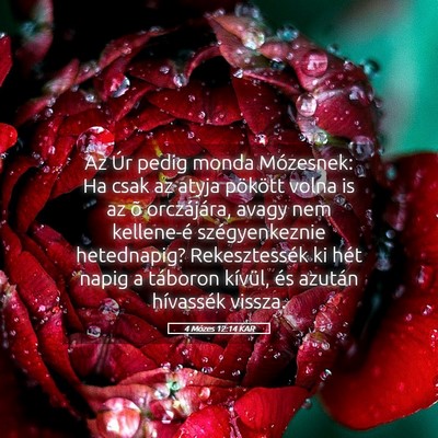 Picture 05 - 4 Mózes 12:14 KAR - Az Úr pedig monda Mózesnek: Ha csak az atyja - Bible Verse Picture