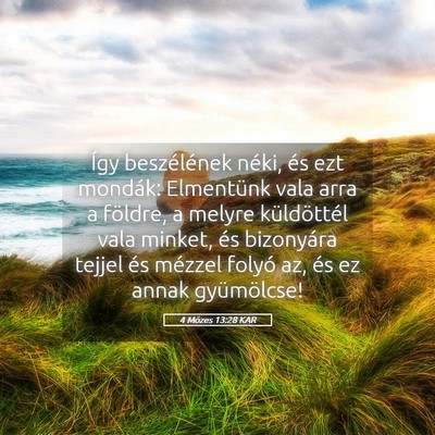 Picture 05 - 4 Mózes 13:28 KAR - Így beszélének néki, és ezt mondák: - Bible Verse Picture