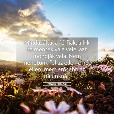 Picture 05 - 4 Mózes 13:32 KAR - Mindazáltal a férfiak, a kik felmentek vala - Bible Verse Picture
