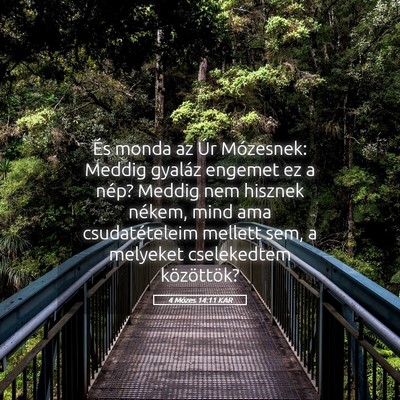 Picture 05 - 4 Mózes 14:11 KAR - És monda az Úr Mózesnek: Meddig gyaláz - Bible Verse Picture