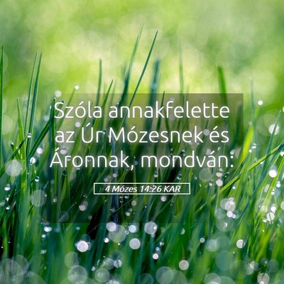 Picture 05 - 4 Mózes 14:26 KAR - Szóla annakfelette az Úr Mózesnek és - Bible Verse Picture