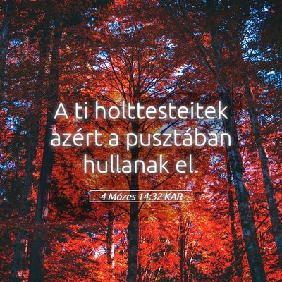 Picture 05 - 4 Mózes 14:32 KAR - A ti holttesteitek azért a pusztában hullanak - Bible Verse Picture