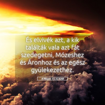 Picture 05 - 4 Mózes 15:33 KAR - És elvivék azt, a kik találták vala azt fát - Bible Verse Picture
