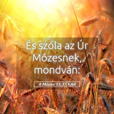 Picture 05 - 4 Mózes 15:37 KAR - És szóla az Úr Mózesnek, - Bible Verse Picture