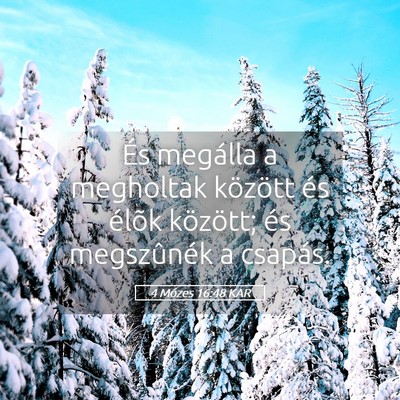 Picture 05 - 4 Mózes 16:48 KAR - És megálla a megholtak között és élõk - Bible Verse Picture