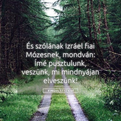 Picture 05 - 4 Mózes 17:12 KAR - És szólának Izráel fiai Mózesnek, mondván: - Bible Verse Picture