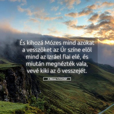 Picture 05 - 4 Mózes 17:9 KAR - És kihozá Mózes mind azokat a vesszõket az - Bible Verse Picture