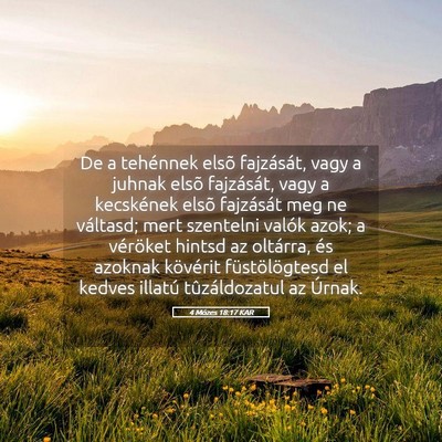 Picture 05 - 4 Mózes 18:17 KAR - De a tehénnek elsõ fajzását, vagy a juhnak - Bible Verse Picture