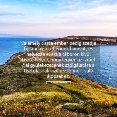 Picture 05 - 4 Mózes 19:9 KAR - Valamely tiszta ember pedig szedje fel annak a - Bible Verse Picture