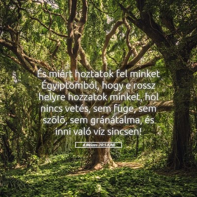 Picture 05 - 4 Mózes 20:5 KAR - És miért hoztatok fel minket Égyiptomból, - Bible Verse Picture