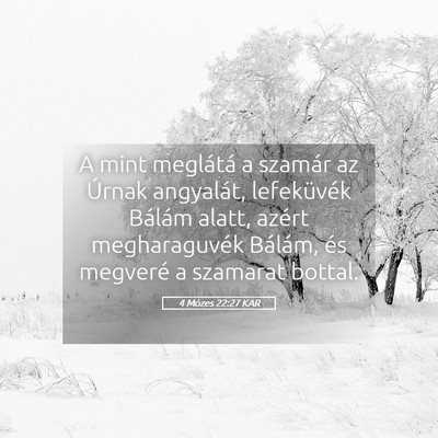 Picture 05 - 4 Mózes 22:27 KAR - A mint meglátá a szamár az Úrnak angyalát, - Bible Verse Picture