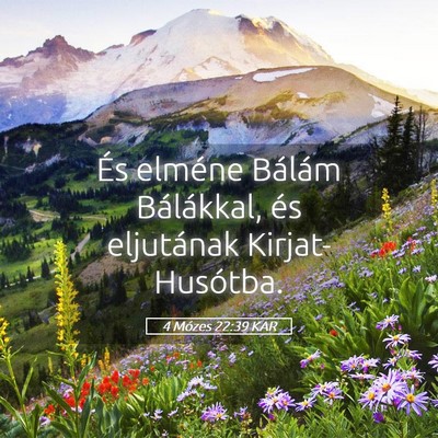 Picture 05 - 4 Mózes 22:39 KAR - És elméne Bálám Bálákkal, és eljutának - Bible Verse Picture