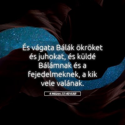 Picture 05 - 4 Mózes 22:40 KAR - És vágata Bálák ökröket és juhokat, és - Bible Verse Picture