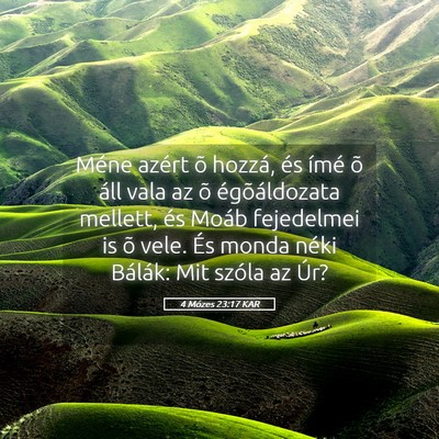Picture 05 - 4 Mózes 23:17 KAR - Méne azért õ hozzá, és ímé õ áll vala az - Bible Verse Picture