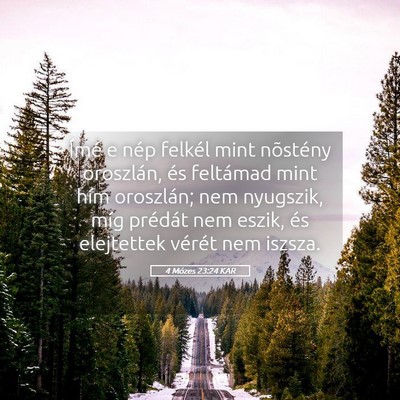 Picture 05 - 4 Mózes 23:24 KAR - Ímé e nép felkél mint nõstény oroszlán, - Bible Verse Picture