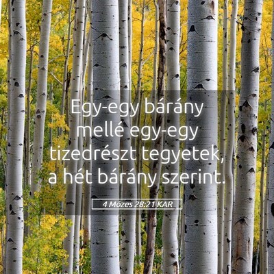 Picture 05 - 4 Mózes 28:21 KAR - Egy-egy bárány mellé egy-egy tizedrészt - Bible Verse Picture