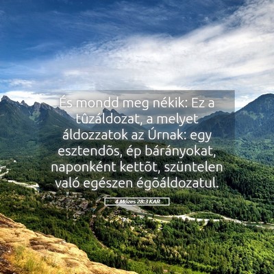 Picture 05 - 4 Mózes 28:3 KAR - És mondd meg nékik: Ez a tûzáldozat, a melyet - Bible Verse Picture