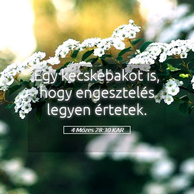 Picture 05 - 4 Mózes 28:30 KAR - Egy kecskebakot is, hogy engesztelés legyen - Bible Verse Picture