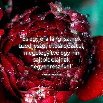 Picture 05 - 4 Mózes 28:5 KAR - És egy efa lánglisztnek tizedrészét - Bible Verse Picture