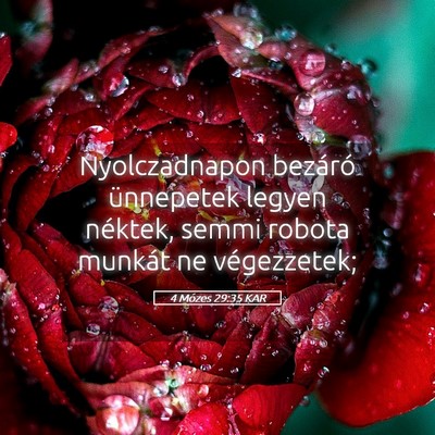 Picture 05 - 4 Mózes 29:35 KAR - Nyolczadnapon bezáró ünnepetek legyen néktek, - Bible Verse Picture
