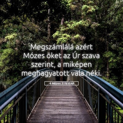 Picture 05 - 4 Mózes 3:16 KAR - Megszámlálá azért Mózes õket az Úr szava - Bible Verse Picture