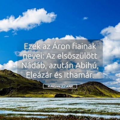 Picture 05 - 4 Mózes 3:2 KAR - Ezek az Áron fiainak nevei: Az elsõszülött - Bible Verse Picture