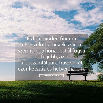 Picture 05 - 4 Mózes 3:43 KAR - És lõn minden finemû elsõszülött a nevek - Bible Verse Picture