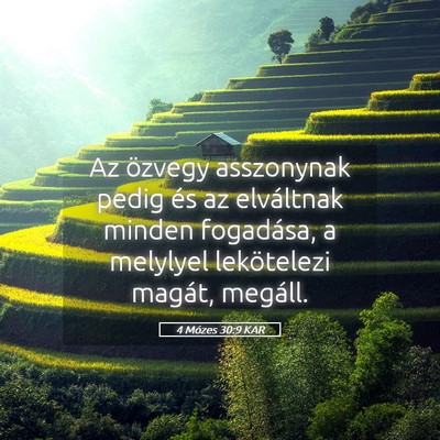 Picture 05 - 4 Mózes 30:9 KAR - Az özvegy asszonynak pedig és az elváltnak - Bible Verse Picture