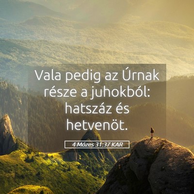 Picture 05 - 4 Mózes 31:37 KAR - Vala pedig az Úrnak része a juhokból: hatszáz - Bible Verse Picture