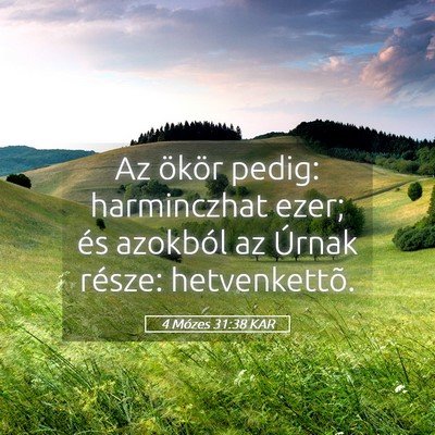 Picture 05 - 4 Mózes 31:38 KAR - Az ökör pedig: harminczhat ezer; és azokból - Bible Verse Picture