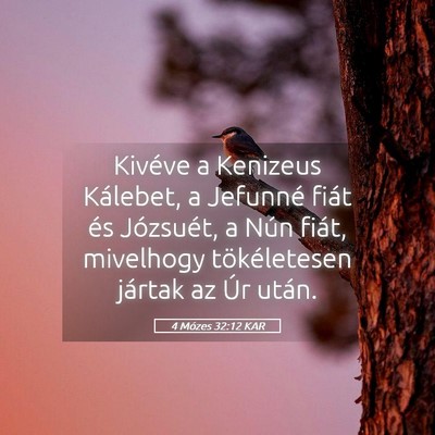 Picture 05 - 4 Mózes 32:12 KAR - Kivéve a Kenizeus Kálebet, a Jefunné fiát és - Bible Verse Picture