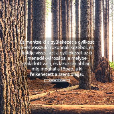 Picture 05 - 4 Mózes 35:25 KAR - És mentse ki a gyülekezet a gyilkost a - Bible Verse Picture