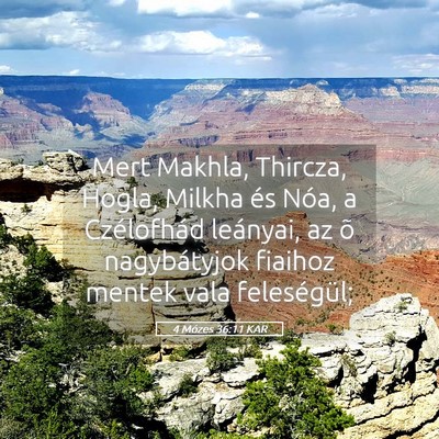 Picture 05 - 4 Mózes 36:11 KAR - Mert Makhla, Thircza, Hogla, Milkha és Nóa, a - Bible Verse Picture