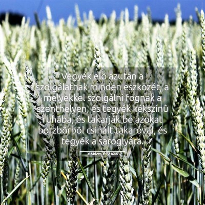 Picture 05 - 4 Mózes 4:12 KAR - Vegyék elõ azután a szolgálatnak minden - Bible Verse Picture
