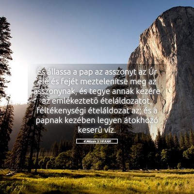 Picture 05 - 4 Mózes 5:18 KAR - És állassa a pap az asszonyt az Úr elé és - Bible Verse Picture