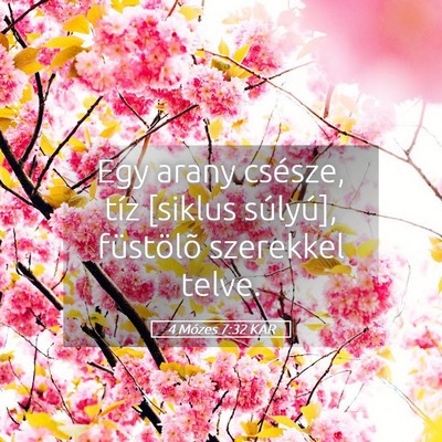 Picture 05 - 4 Mózes 7:32 KAR - Egy arany csésze, tíz [siklus súlyú], - Bible Verse Picture