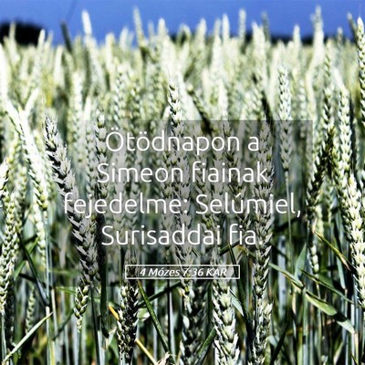 Picture 05 - 4 Mózes 7:36 KAR - Ötödnapon a Simeon fiainak fejedelme: - Bible Verse Picture
