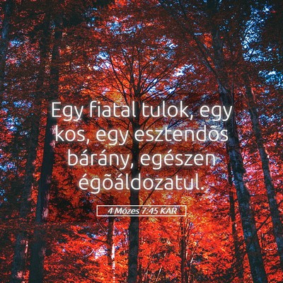 Picture 05 - 4 Mózes 7:45 KAR - Egy fiatal tulok, egy kos, egy esztendõs - Bible Verse Picture