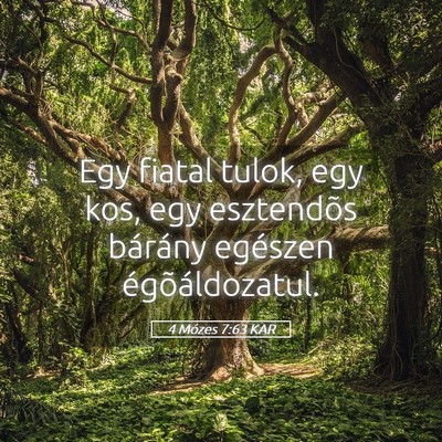 Picture 05 - 4 Mózes 7:63 KAR - Egy fiatal tulok, egy kos, egy esztendõs - Bible Verse Picture