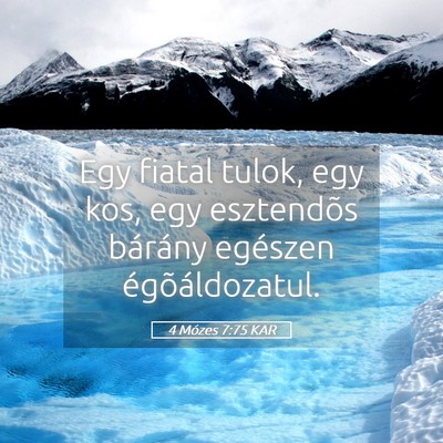 Picture 05 - 4 Mózes 7:75 KAR - Egy fiatal tulok, egy kos, egy esztendõs - Bible Verse Picture