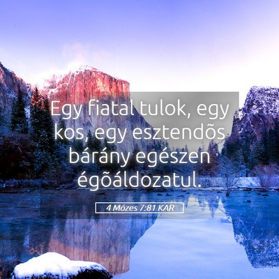 Picture 05 - 4 Mózes 7:81 KAR - Egy fiatal tulok, egy kos, egy esztendõs - Bible Verse Picture