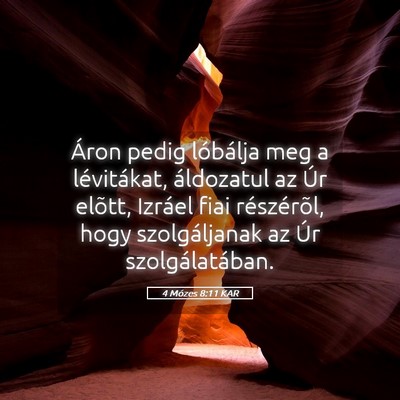 Picture 05 - 4 Mózes 8:11 KAR - Áron pedig lóbálja meg a lévitákat, - Bible Verse Picture